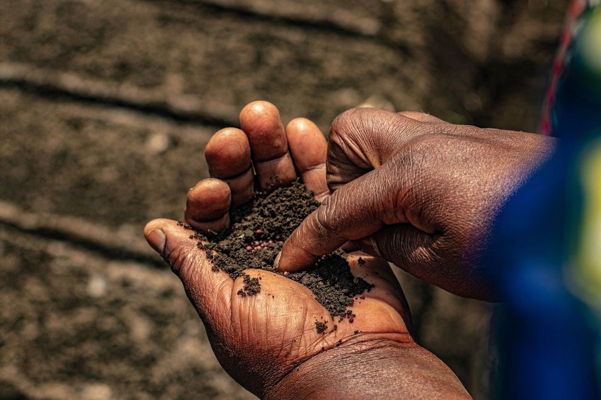 Hands holding vermicompost