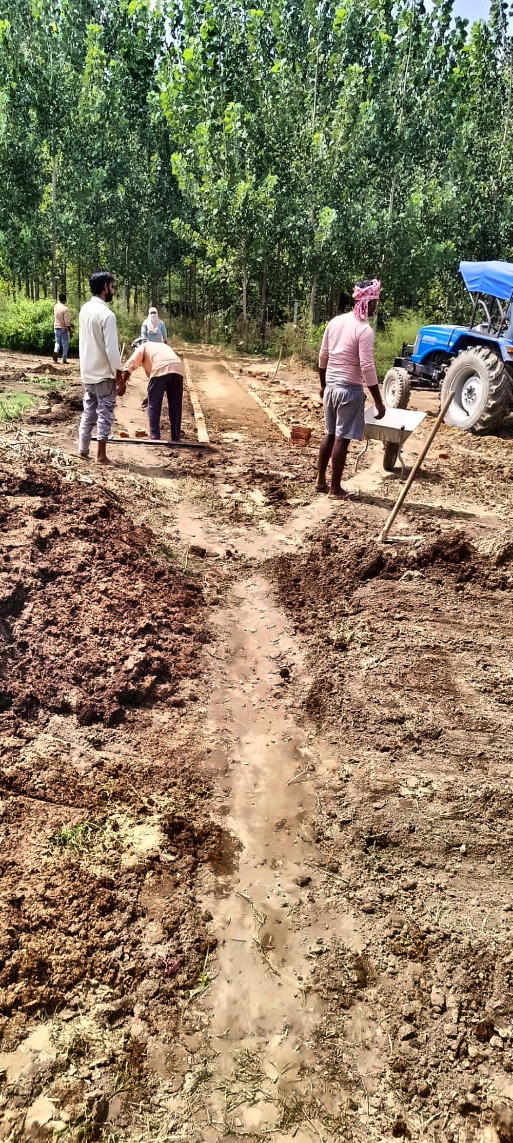 The team laying brick edges for new beds