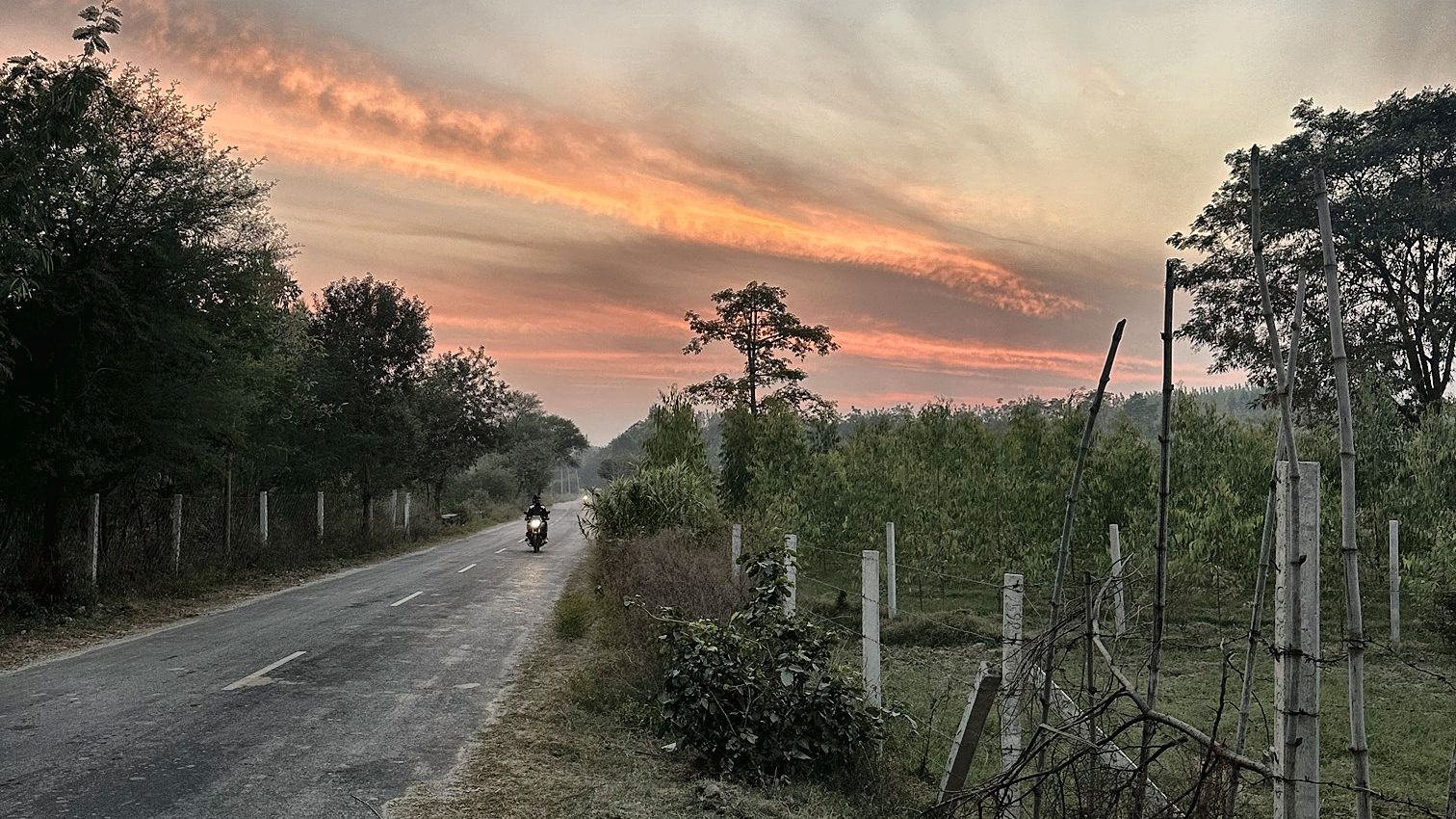 Nagal Tibba Road at sunset, beside WB Farm